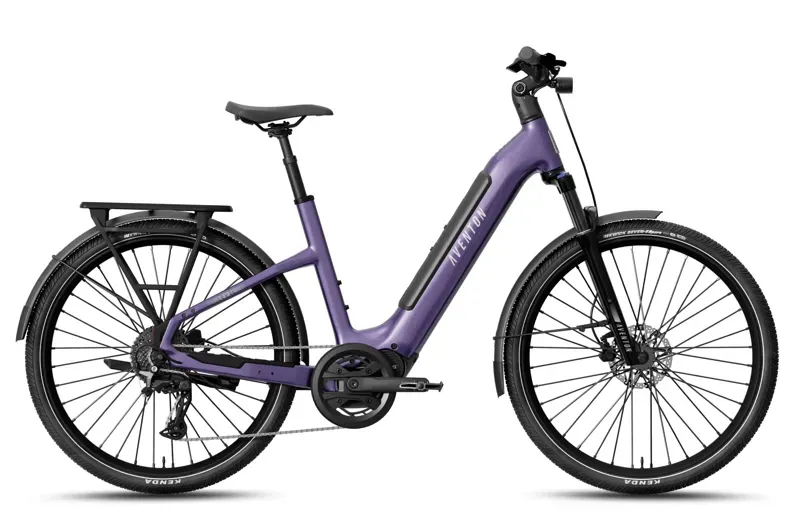 Aventon Level.4 ADV Step-Thru Large Haze