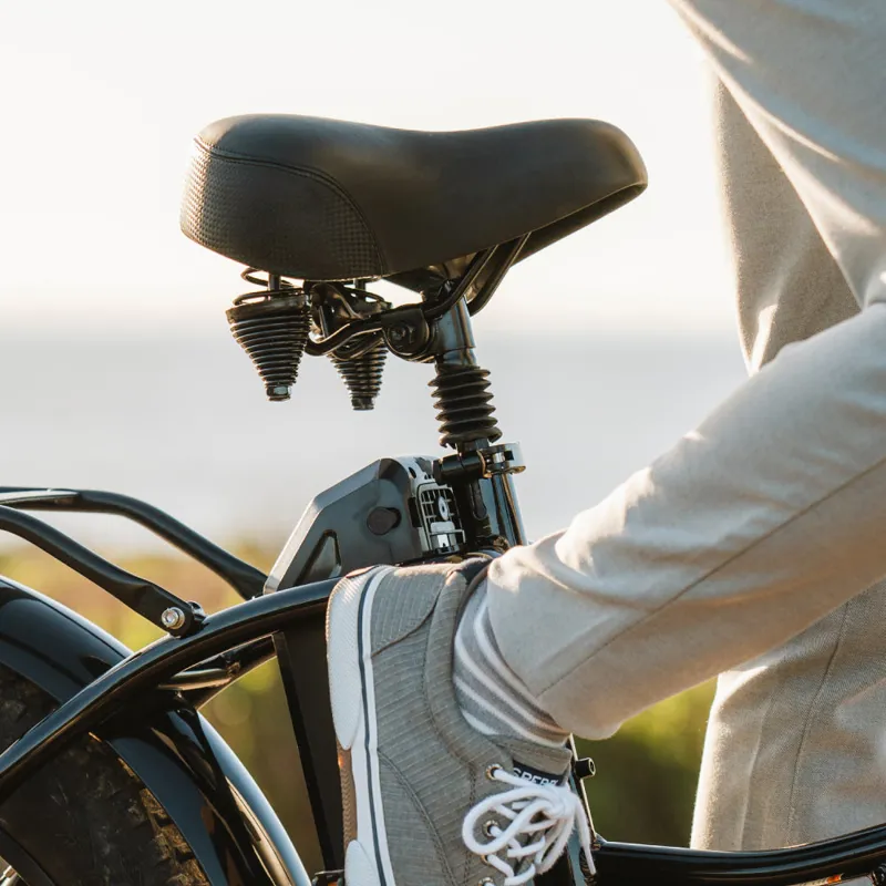 Lectric XP Comfort Package and Seatpost-1