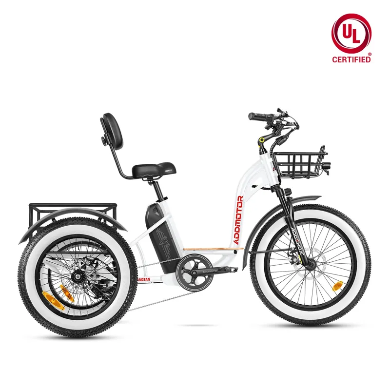 Addmotor Grandtan M-340 750W Rear Motor eTrike in Pearl White