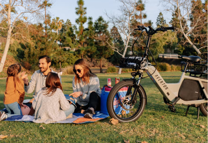 Aventon Abound Cargo E-Bike In Sage-9