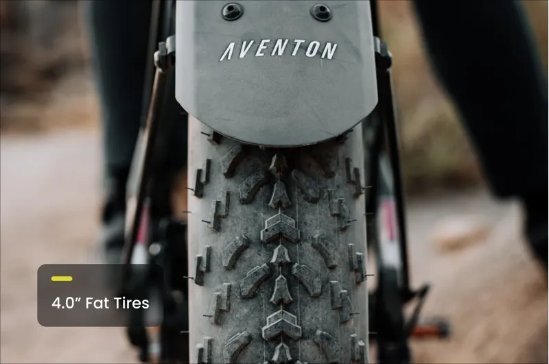 Aventon Aventure M Regular Ebike in Basalt-3