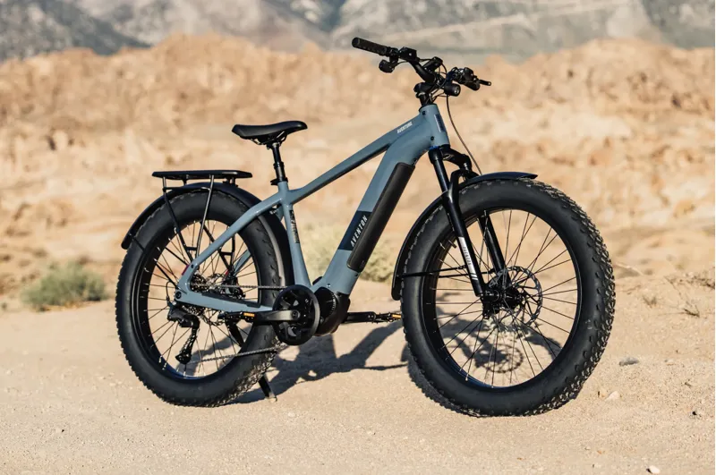 Aventon Aventure M Ebike in Pacific-3