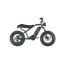 Raev - Bullet Green Electric Bike