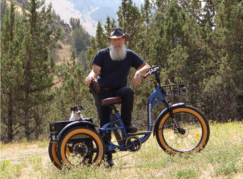 AddMotor CITYTRI E-310 in Neptune Blue-10