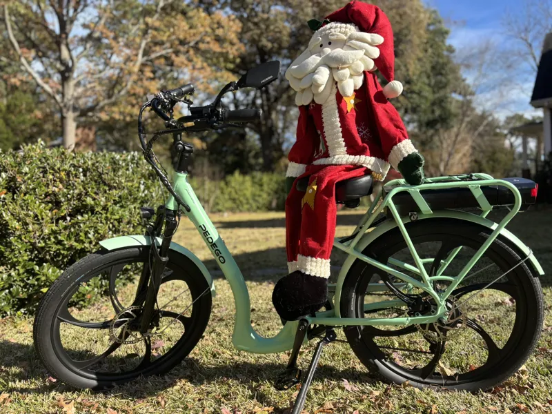 Pre-Loved Pedego Boomerang Platinum 500W Limited Edition Mint with Mags-3