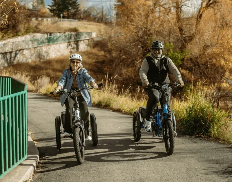 Velotric Trikes Triker Electric Tricycle in Electric Blue-8