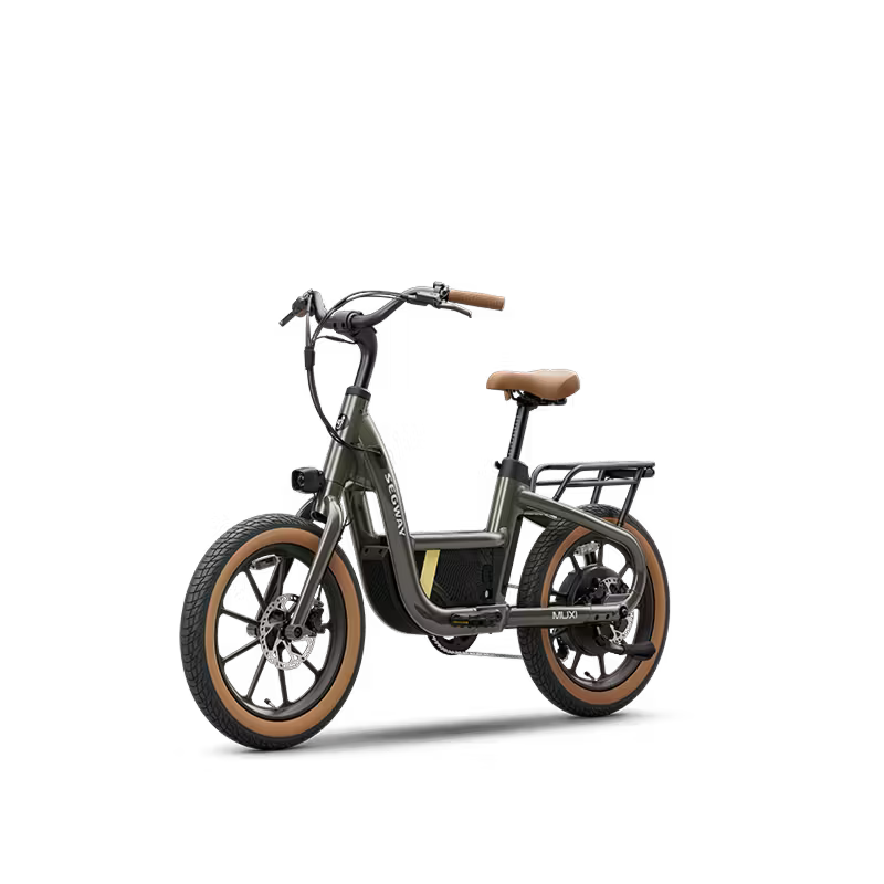 Segway Muxi Olive Rush