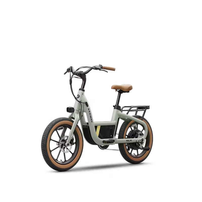 Segway Muxi Dusty Sage