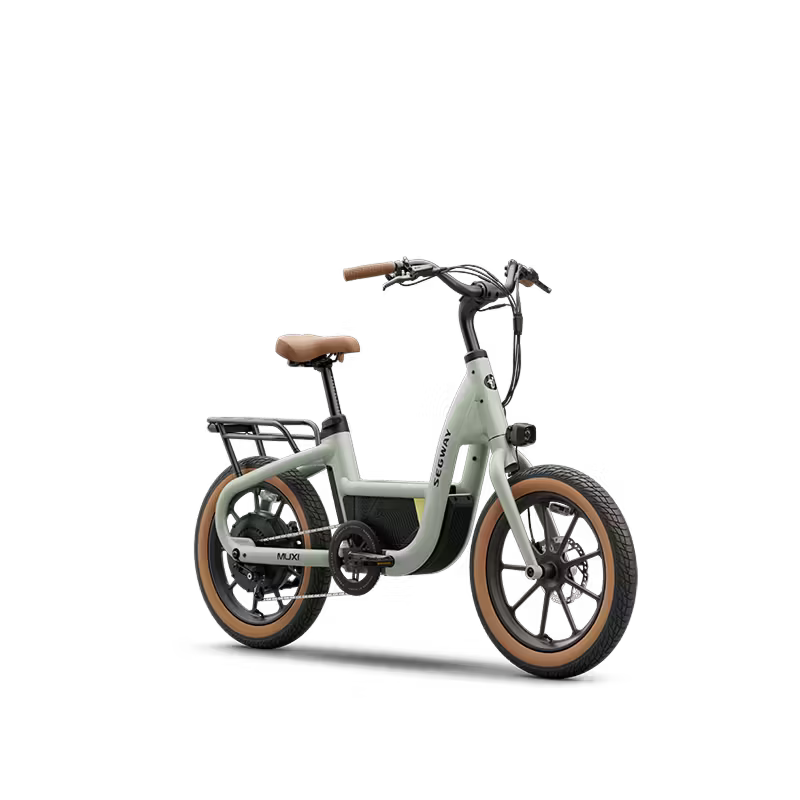 Segway Muxi Dusty Sage-2