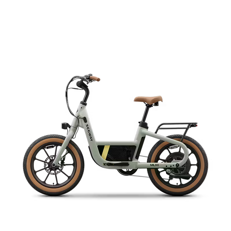 Segway Muxi Dusty Sage-1