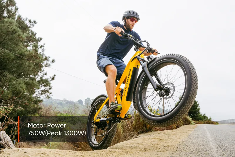 Mokwheel Obsidian 2.0 Full Suspension E-bike in Black/Red-11