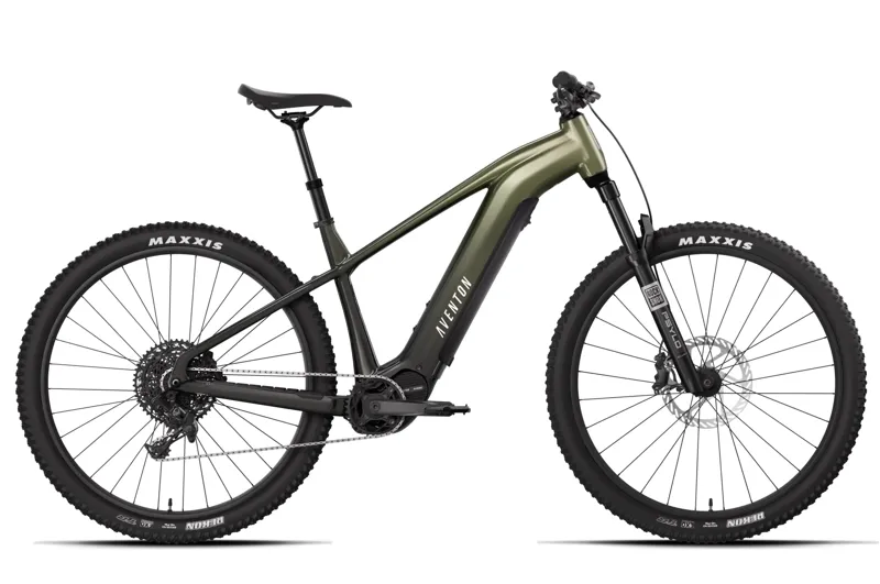 Aventon Ramblas ADV Ebike in Borealis