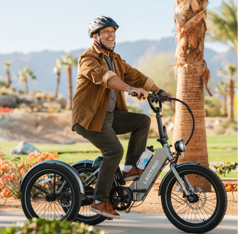 Lectric XP Trike-2