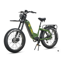 Birch Grolar AWD Hunting Electric Fat Tire Bike Jungle Green