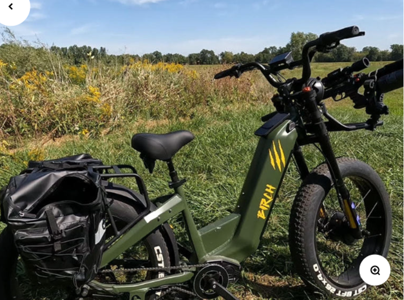 Birch Grolar AWD Hunting Electric Fat Tire Bike Jungle Green-8