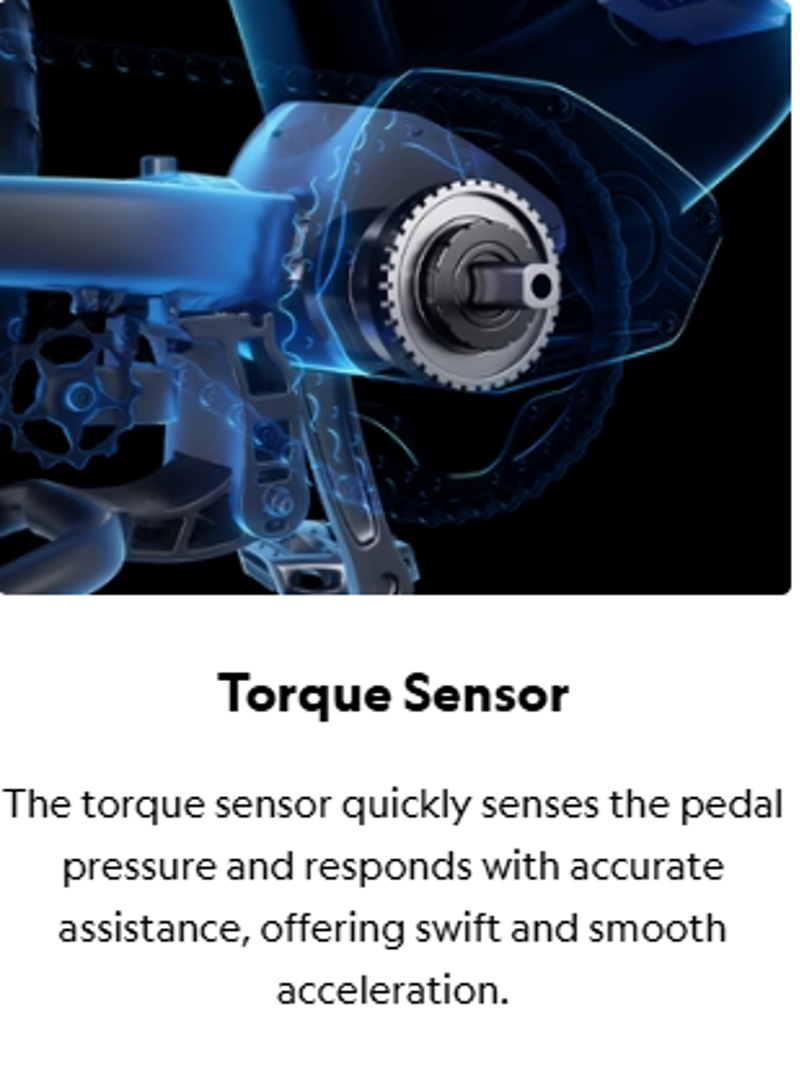 Birch Grolar AWD Hunting Electric Fat Tire Bike Jungle Green-11