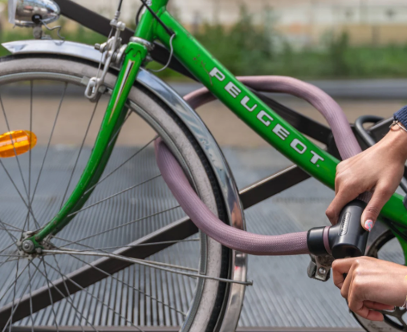 LOCKS - ABUS Goose Chain Lock RoseMauve-1