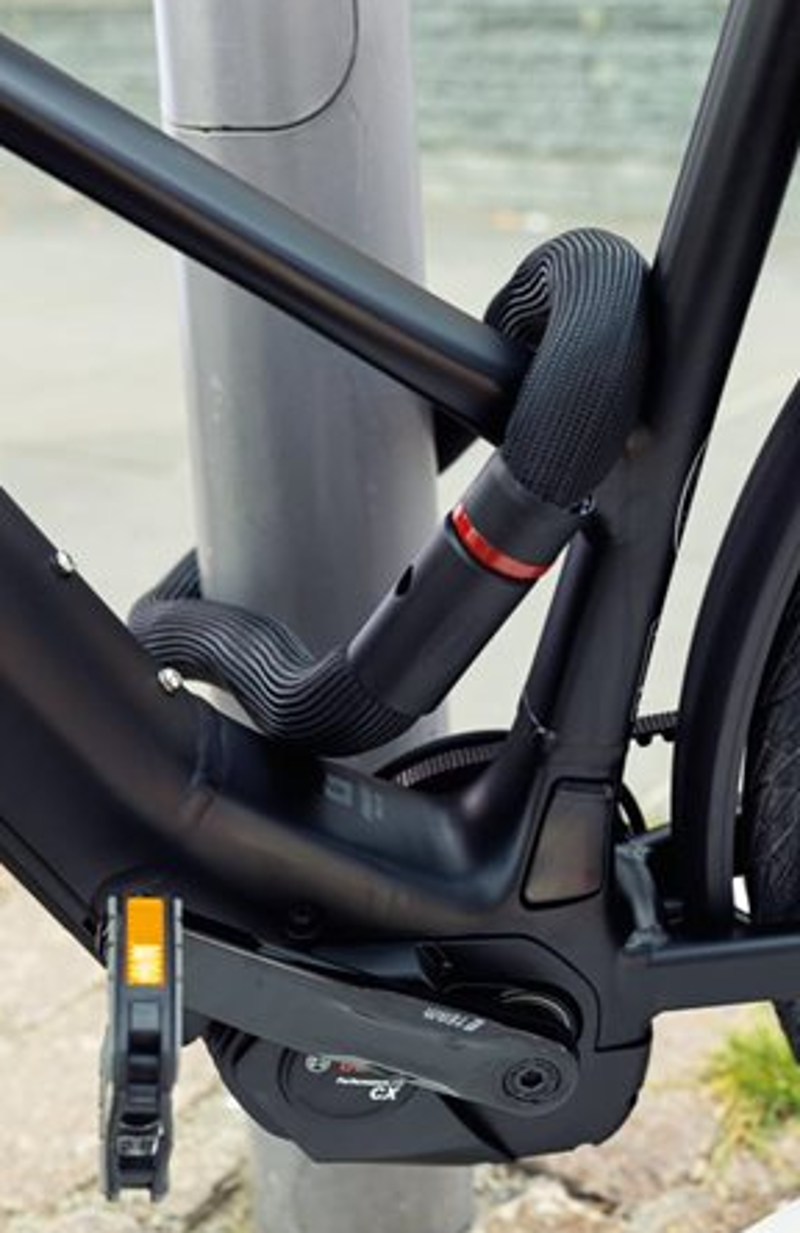 LOCKS - ABUS Goose Chain Lock Flint-5