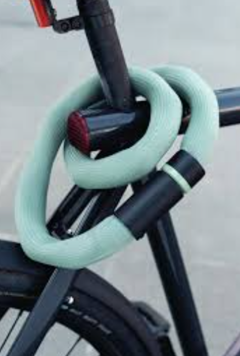 LOCKS - ABUS Goose Chain Lock Mint-3