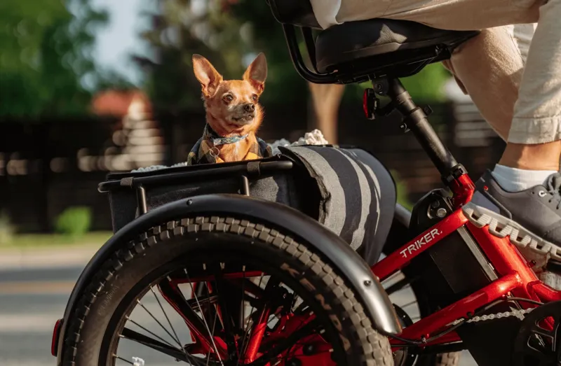 Velotric Trikes Triker Electric Tricycle in Red-5