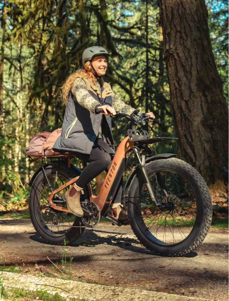 Aventure 3 Step-Thru Java-1