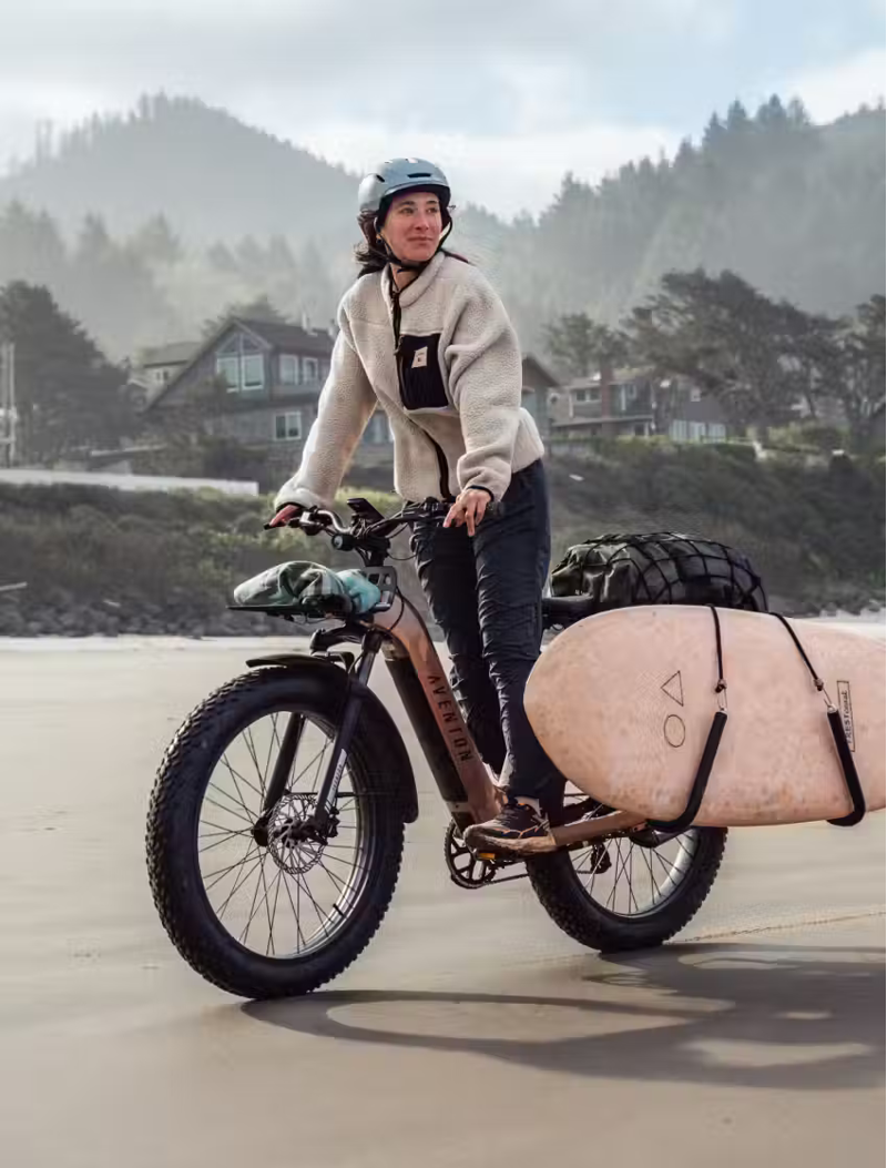 Aventure 3 Step-Thru Java-3