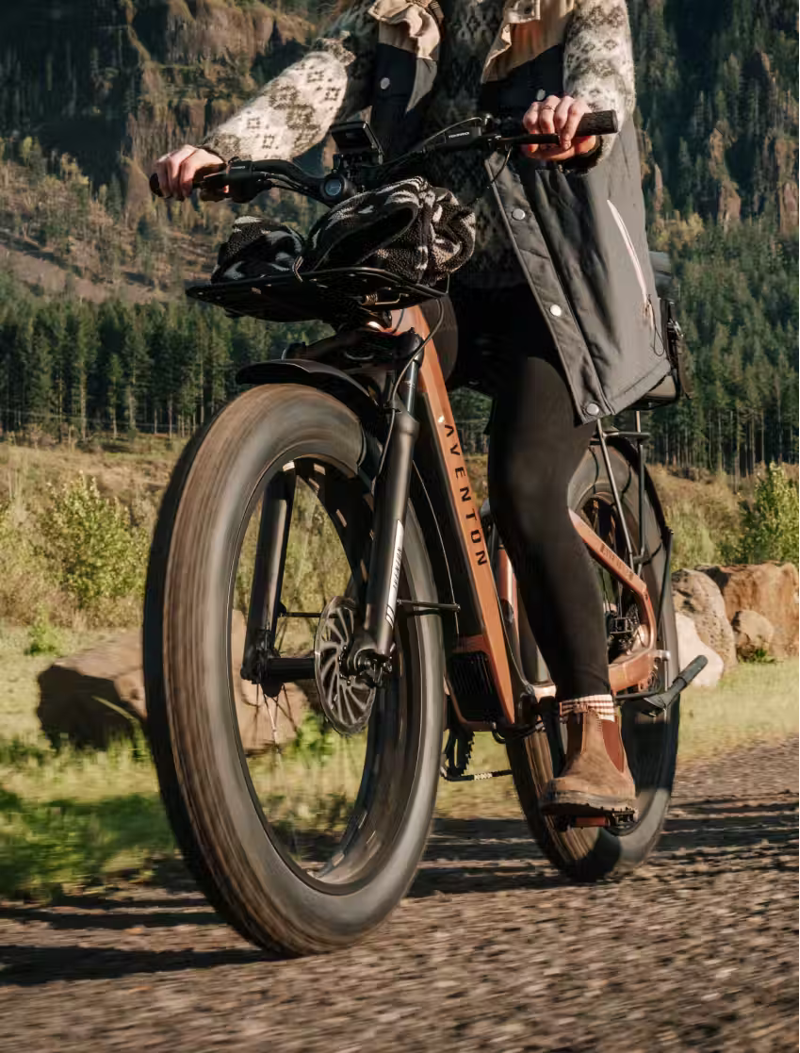 Aventure 3 Step-Thru Java-2