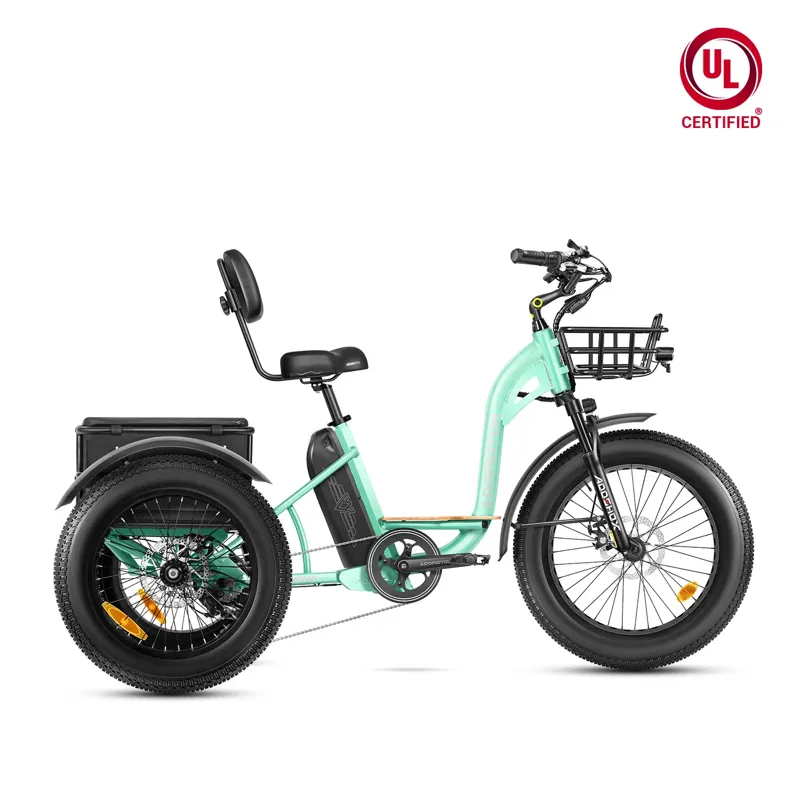 Addmotor Grandtan M-340 750W Rear Motor eTrike in Pearl White-4