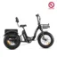 Addmotor Triketan M-330F Folding eTrike in Black