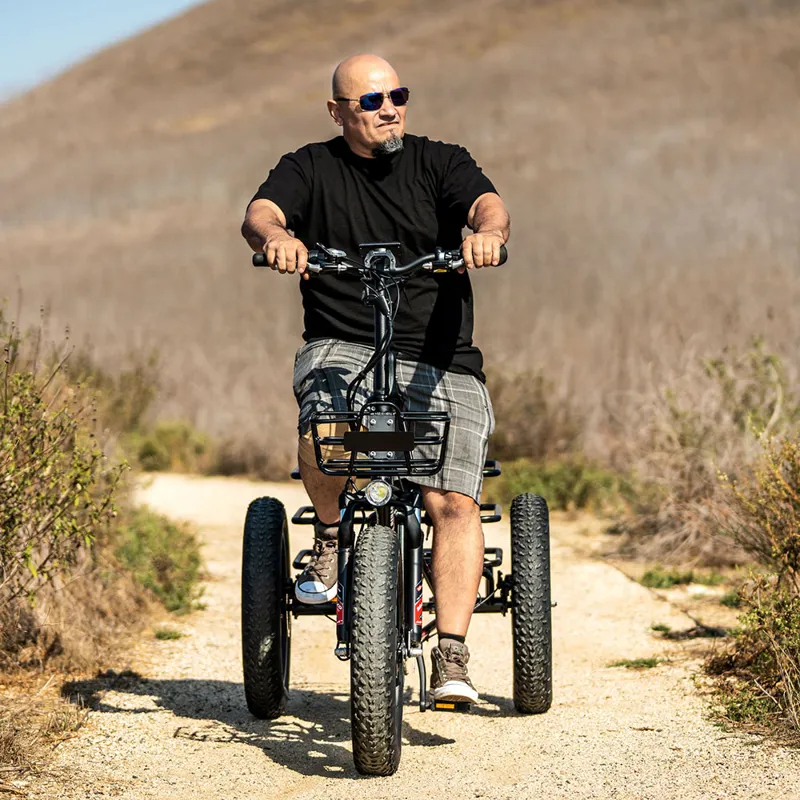 Addmotor Triketan M-330F Folding eTrike in Black-1