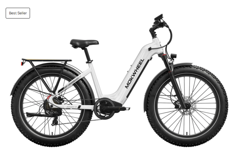 Mokwheel Basalt 2.0 Electric Bike in White