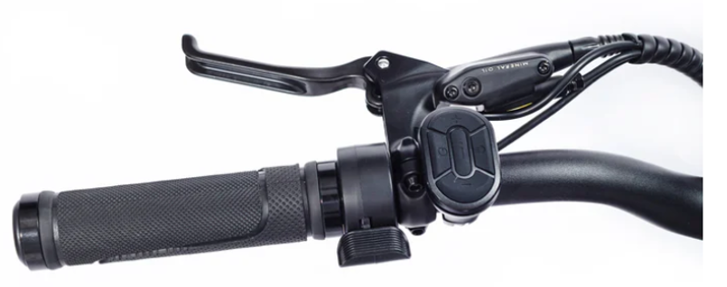 Troxus Explorer Plus Fat Tire Step-Thru E-Bike in Red-6