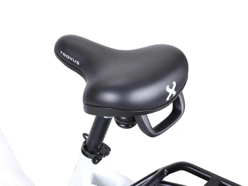 Troxus Lynx Plus E-Bike 20 inch in Chalk-5